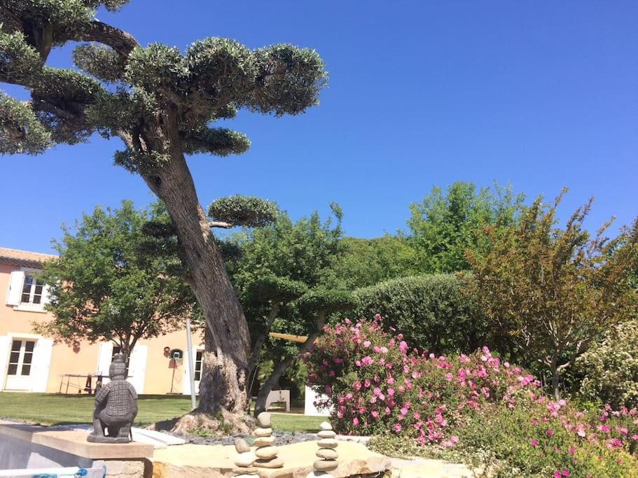 Bastide Languedocienne De Standing - Pezenas Le Clos De L'Amandier Exterior photo